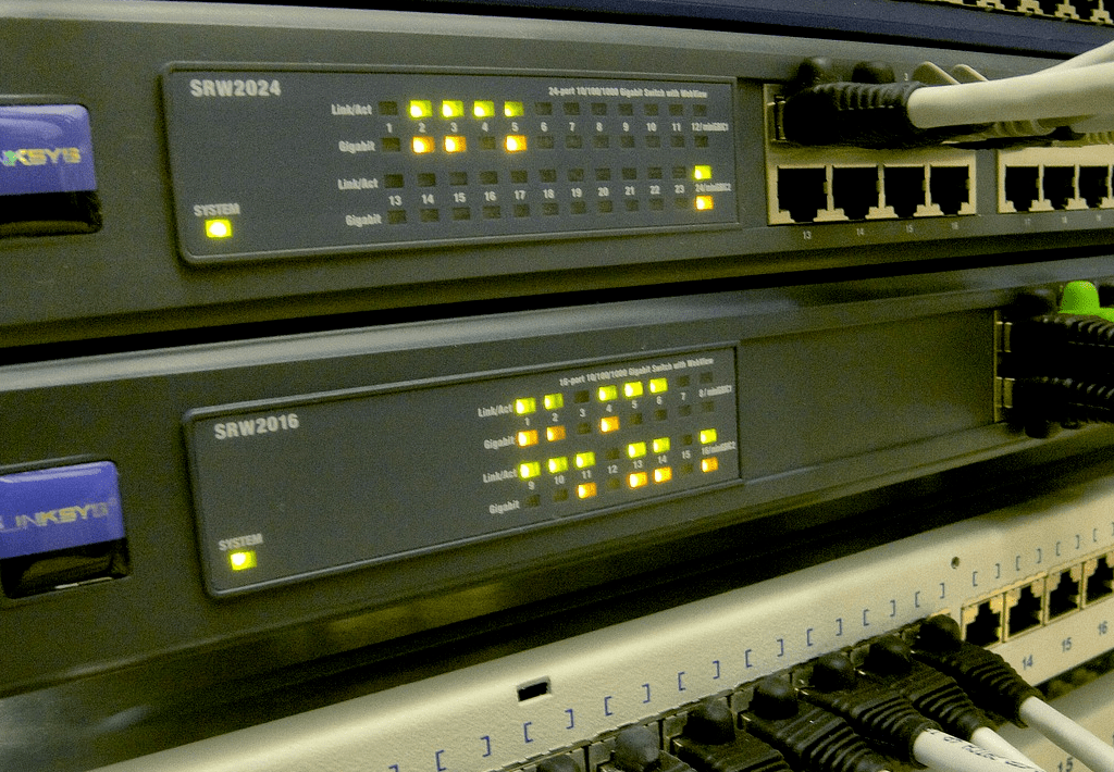 L2 Multicast Service